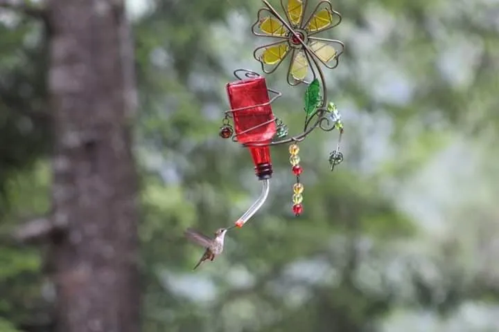 Brand new in box! Beautiful Hand Crafted Glass Humming Bird Feeder with durable metal Frame!